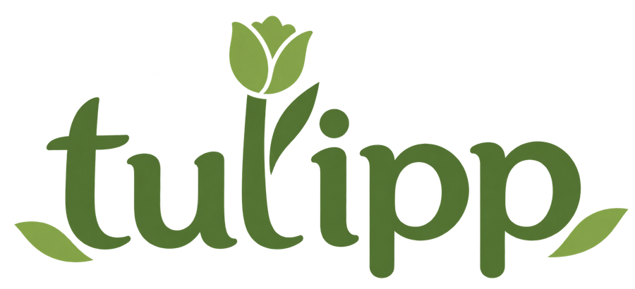 Tulipp